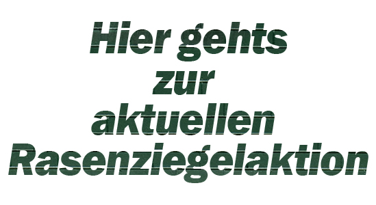 HierGehtsZurRasenziegelaktion